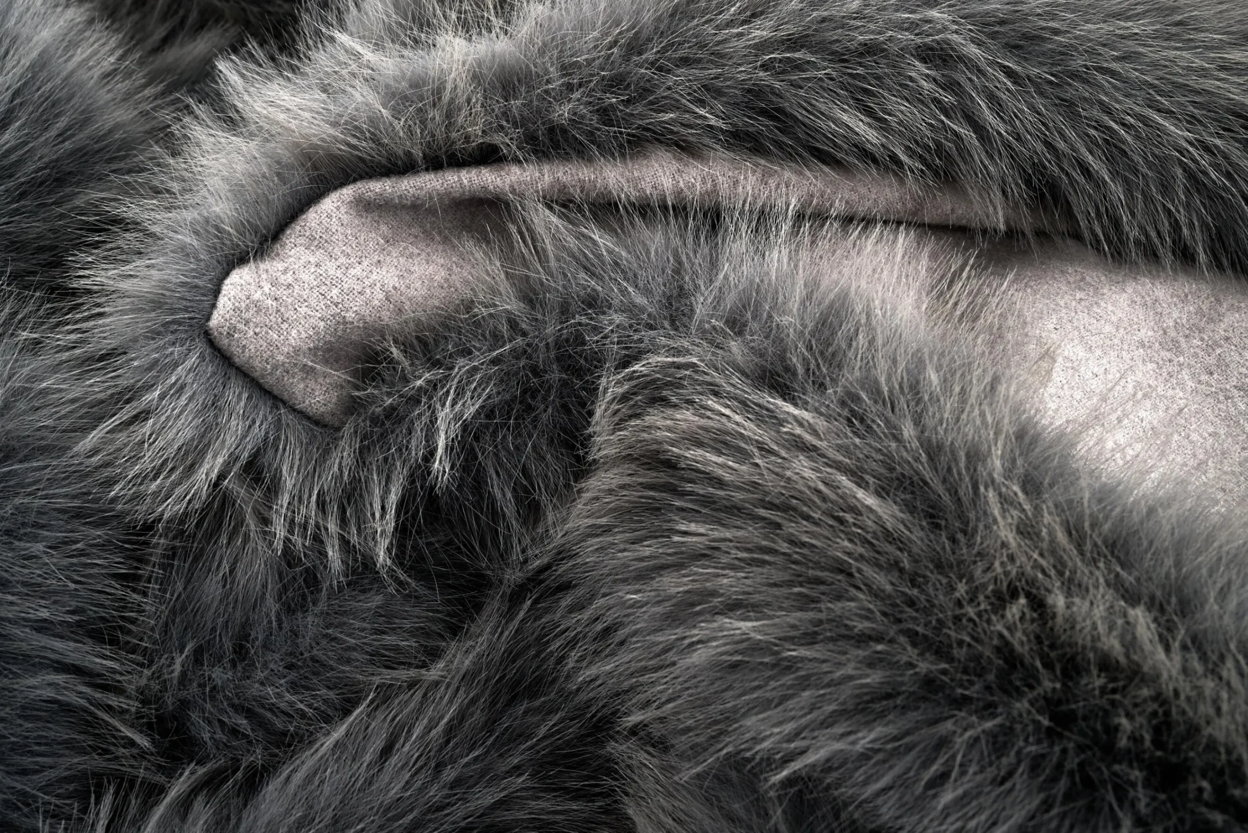 Flamant Allessina, Plaid, Fausse Fourrure Best