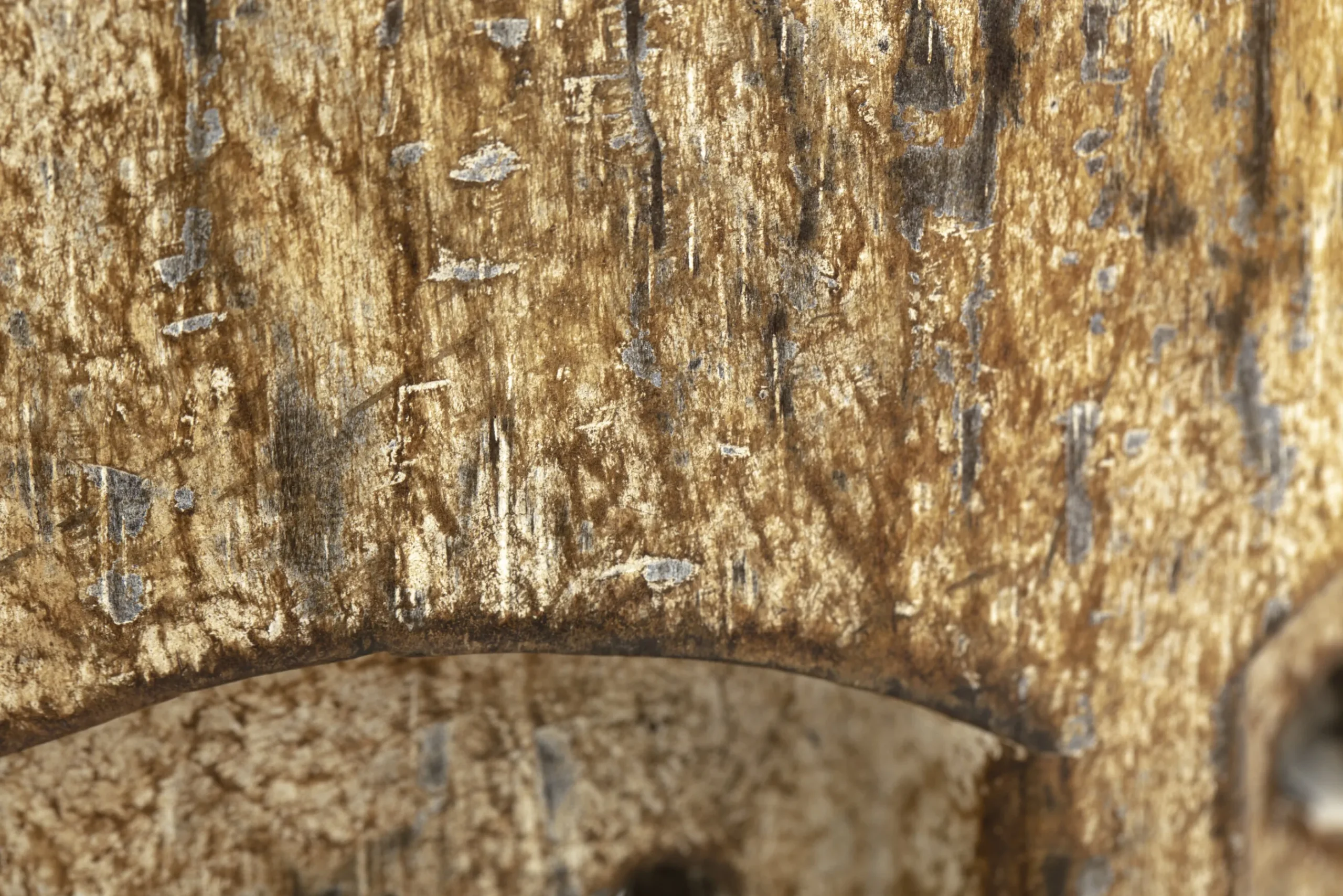 Flamant Anano, Masque, A Pied Hot