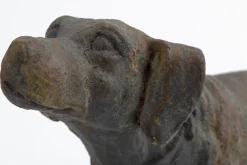 Flamant Blakeley, Chien Online