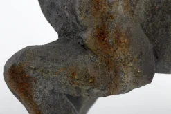 Flamant Blakeley, Chien Online