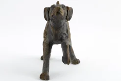 Flamant Blakeley, Chien Online