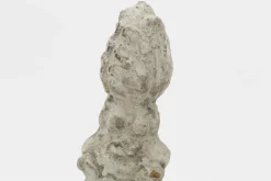 Flamant Cal, Deco New