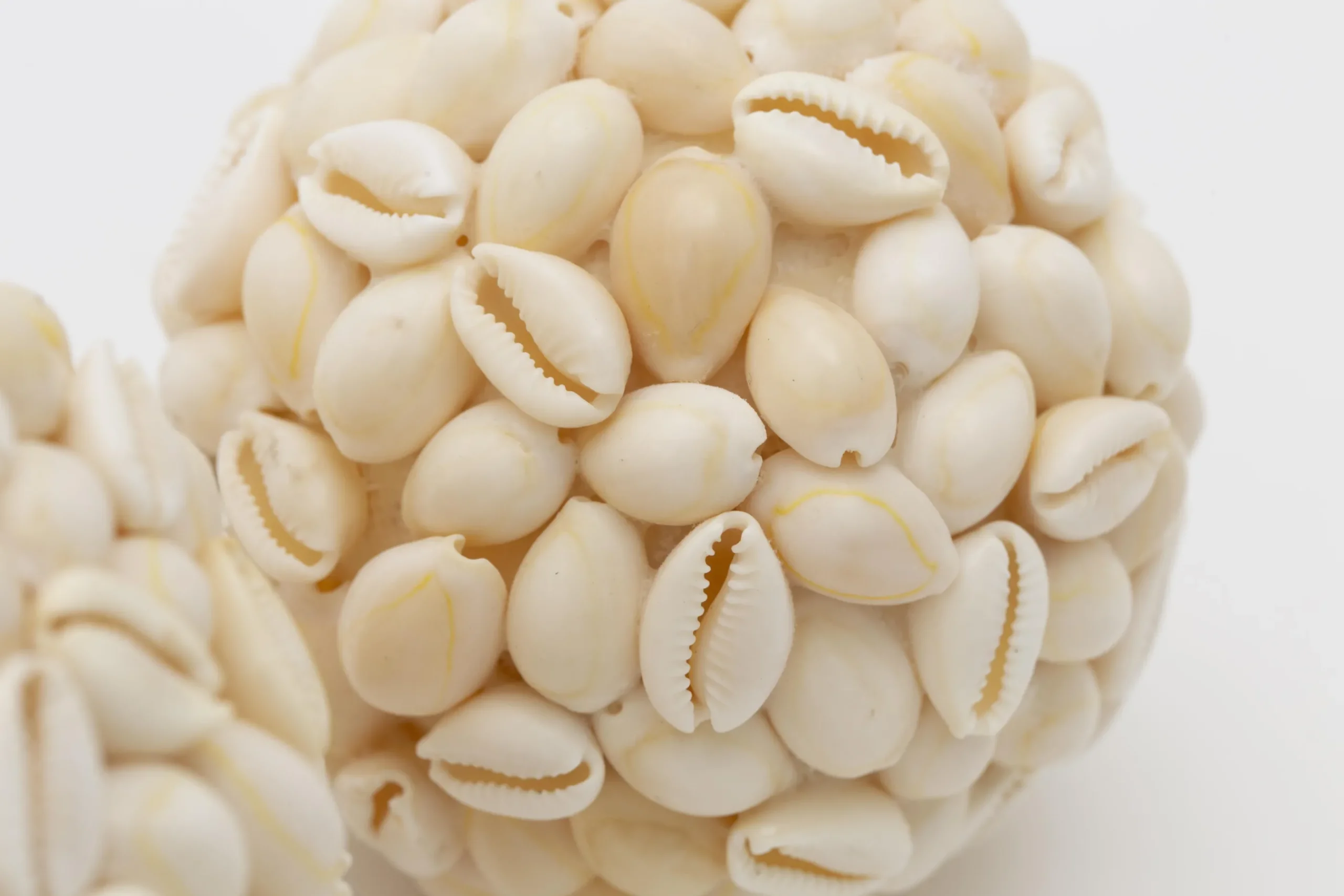 Flamant Cass, Boule Deco, L New