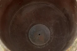 Flamant Ceanu, Jardiniere, S New