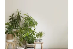 Flamant Chateau Blanc Discount