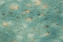 Flamant Cresta, Assiette De Service, Ceramique, Turquoise, Ovale