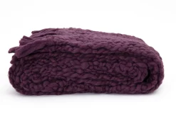 Flamant Einstein, Plaid, Violet Hot