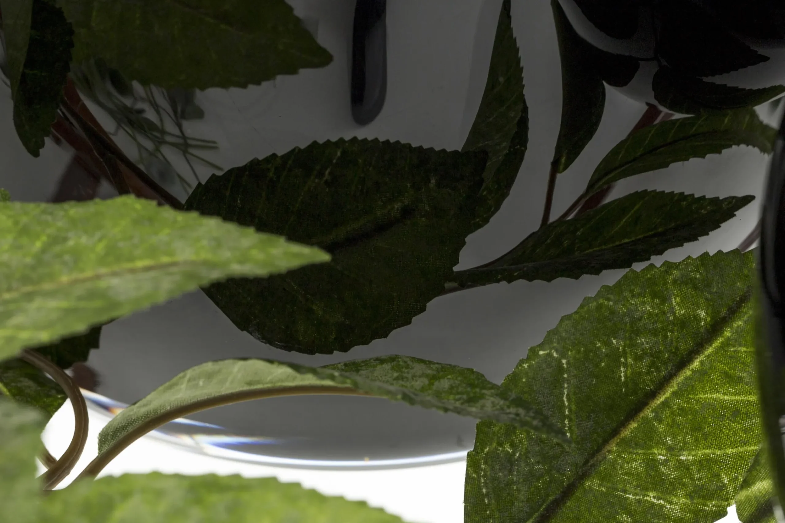 Flamant Griegos, Vase, Verre, Noir Hot