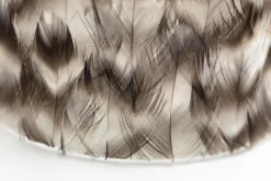 Flamant Hannigan, Photophore, Plumes, L