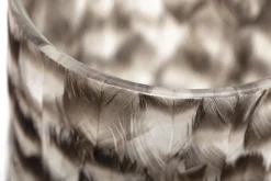 Flamant Hannigan, Photophore, Plumes, L