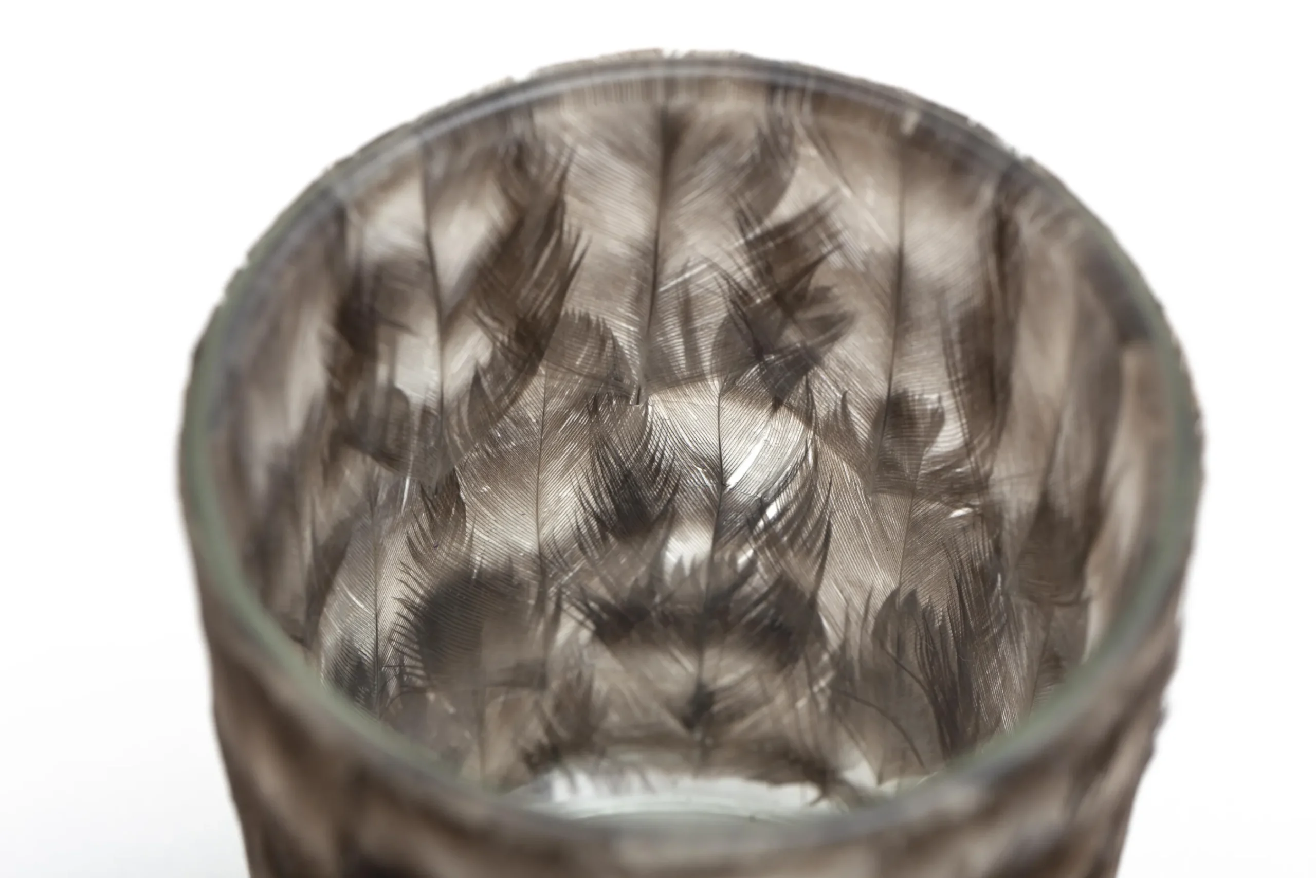 Flamant Hannigan, Photophore, Plumes, S Online