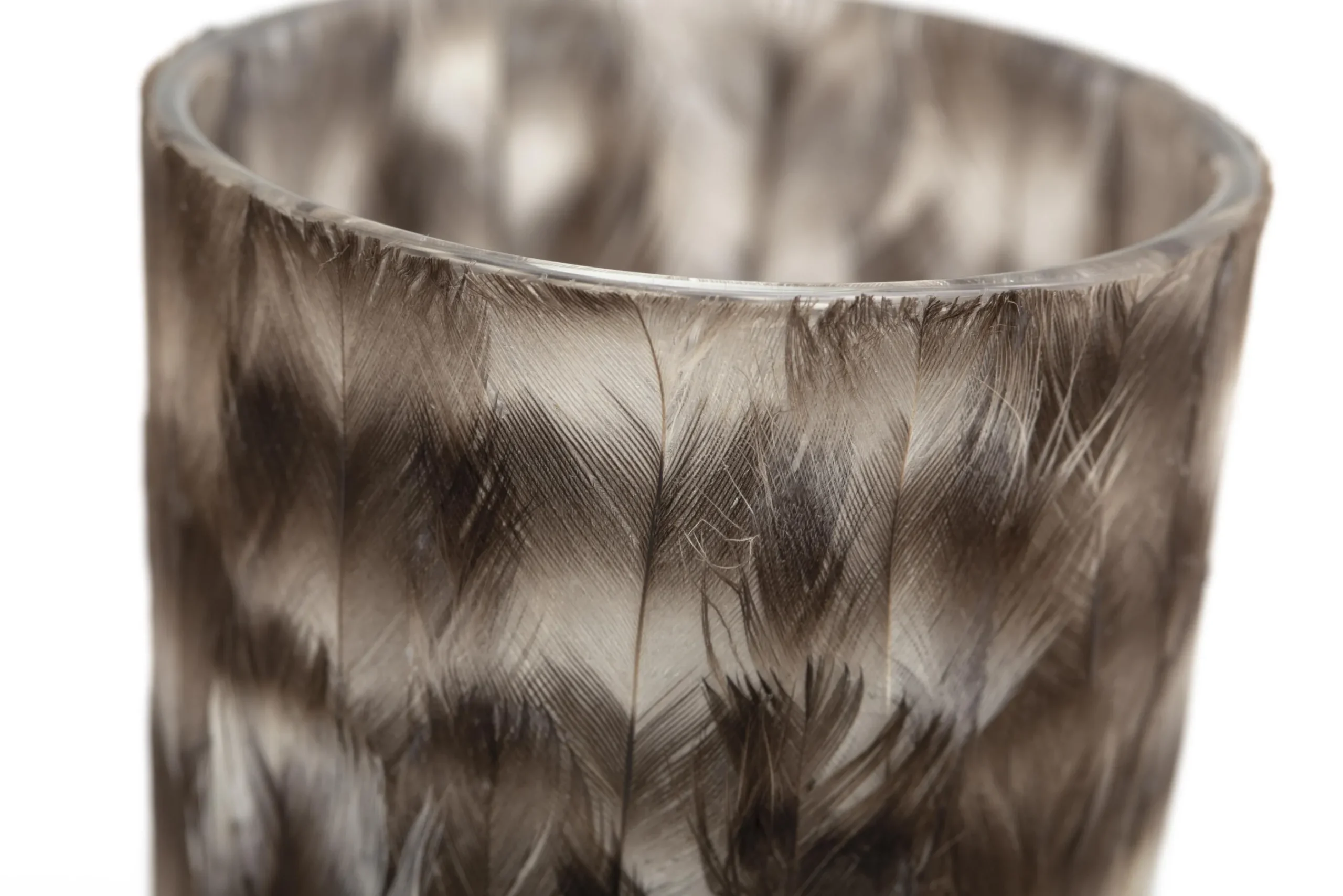 Flamant Hannigan, Photophore, Plumes, S Online