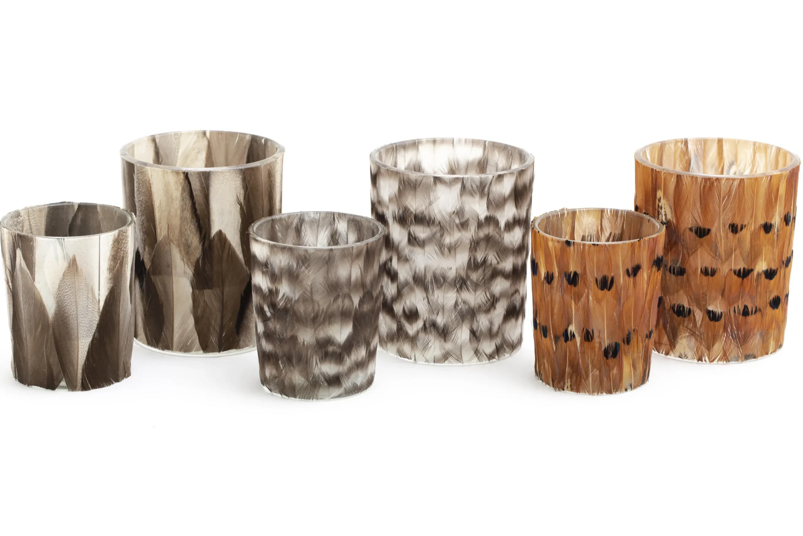 Flamant Hannigan, Photophore, Plumes, S Online