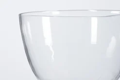 Flamant Jildau, Bol, Sur Pied, Souffle A La Bouche