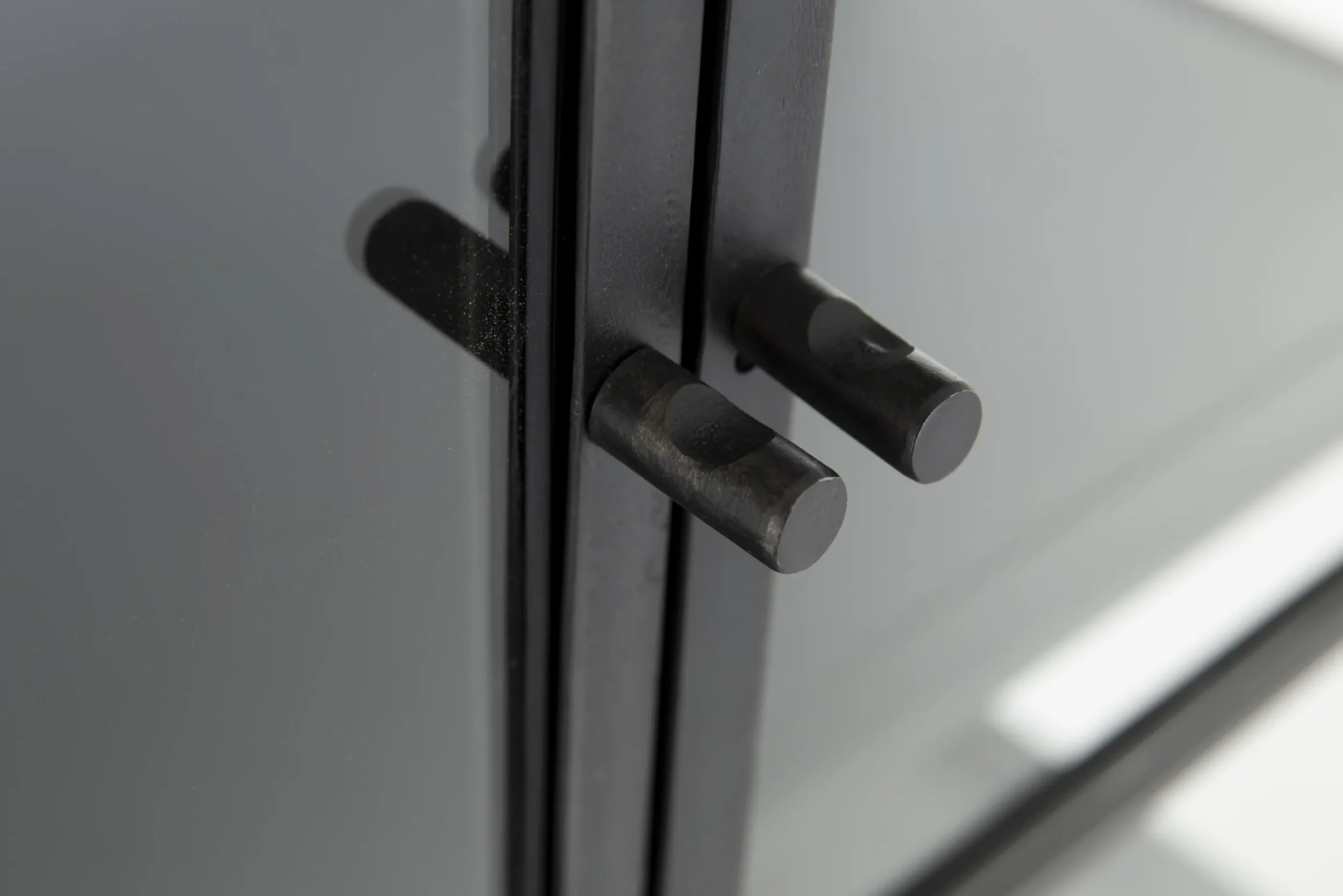 Flamant Laurance, Vitrine, Noir, Metal, 2 Portes Best