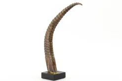 Flamant Lucarne, Deco, Corne Discount