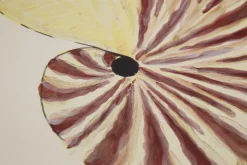 Flamant Maskorra, Bol, Coquille Hot