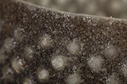 Flamant Max, Lampe Eolienne, Verre, S Sale