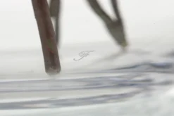 Flamant Mirac, Vase, Verre, H30 Sale