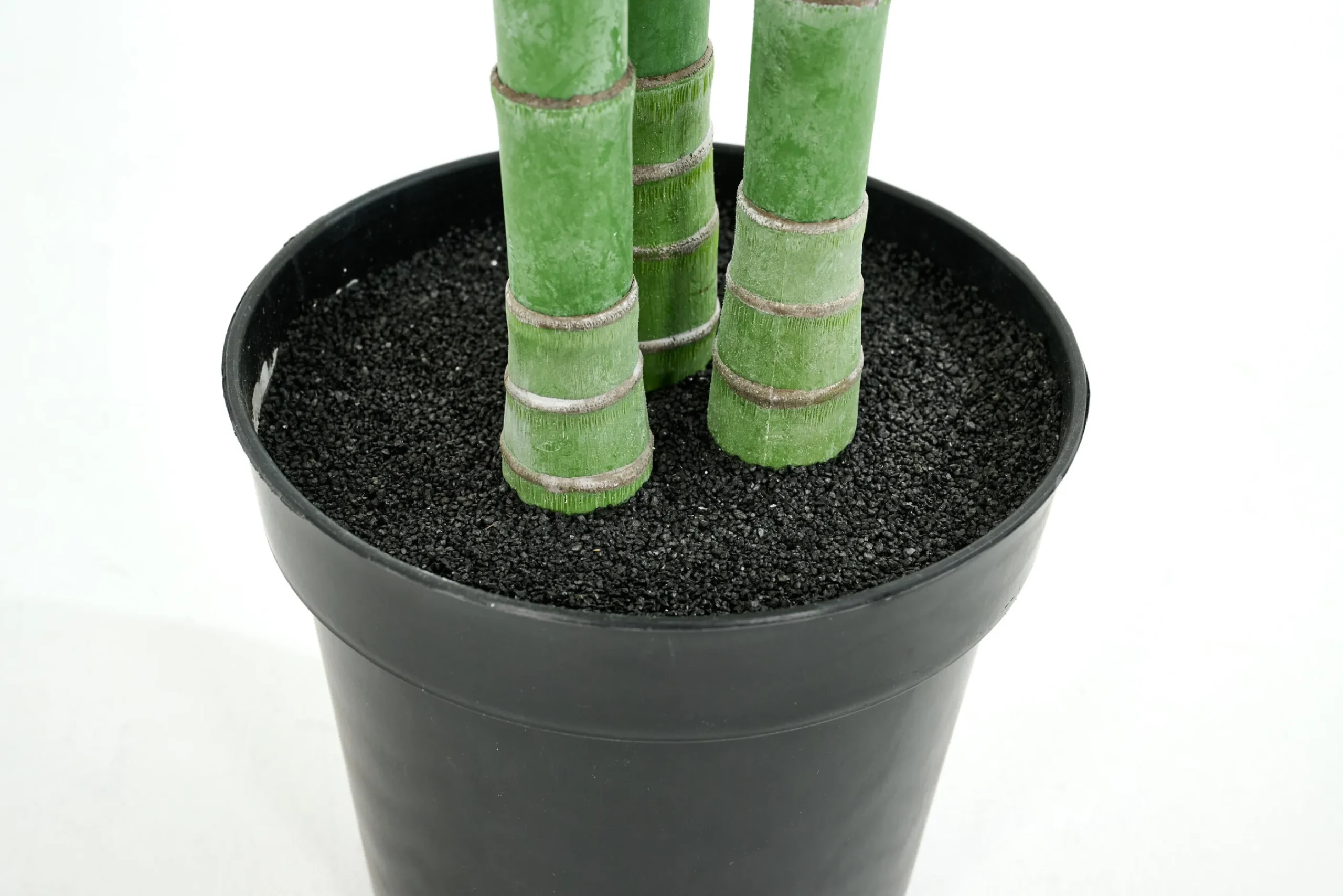 Flamant Palmier Areca, Plante Best