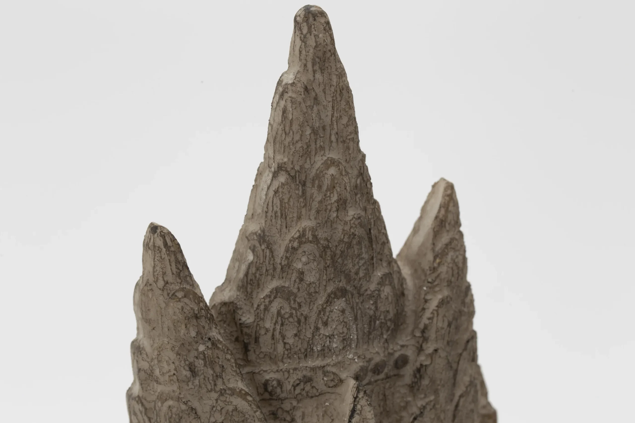 Flamant Sarash, Chef Best